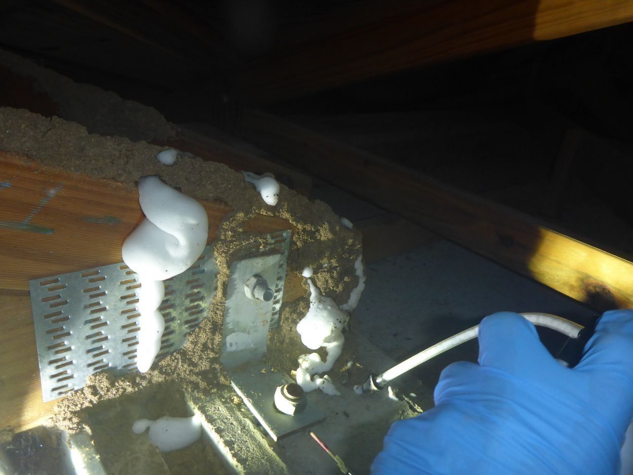 profession treatment for termites