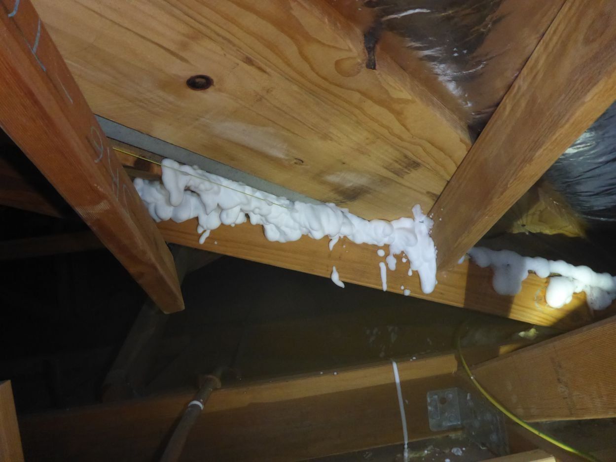 townsville termite treatment in roof structures