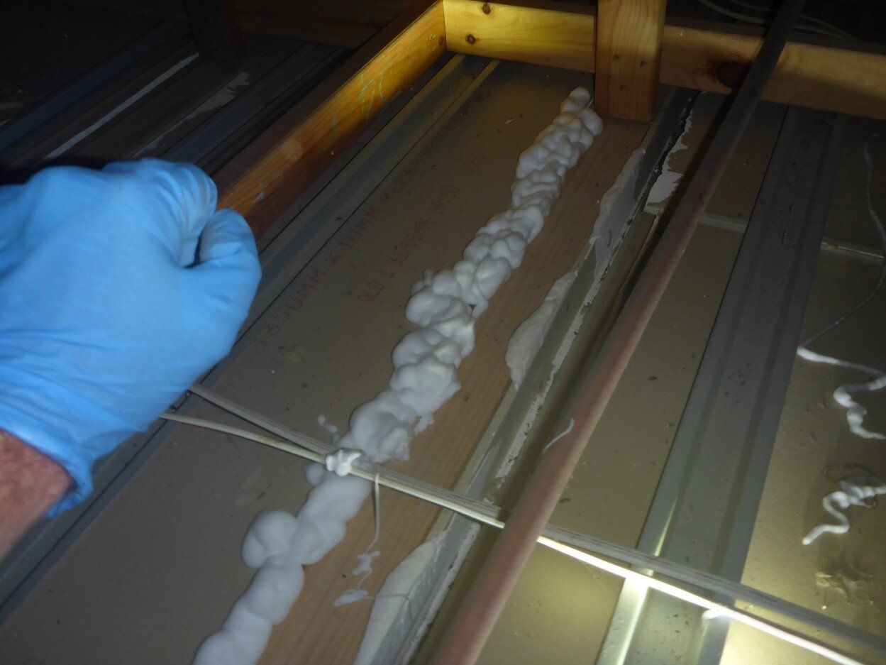 townsville termite treatment in roof