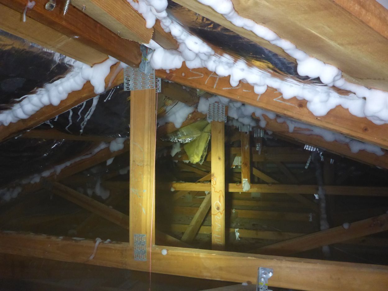 local termite treatment management