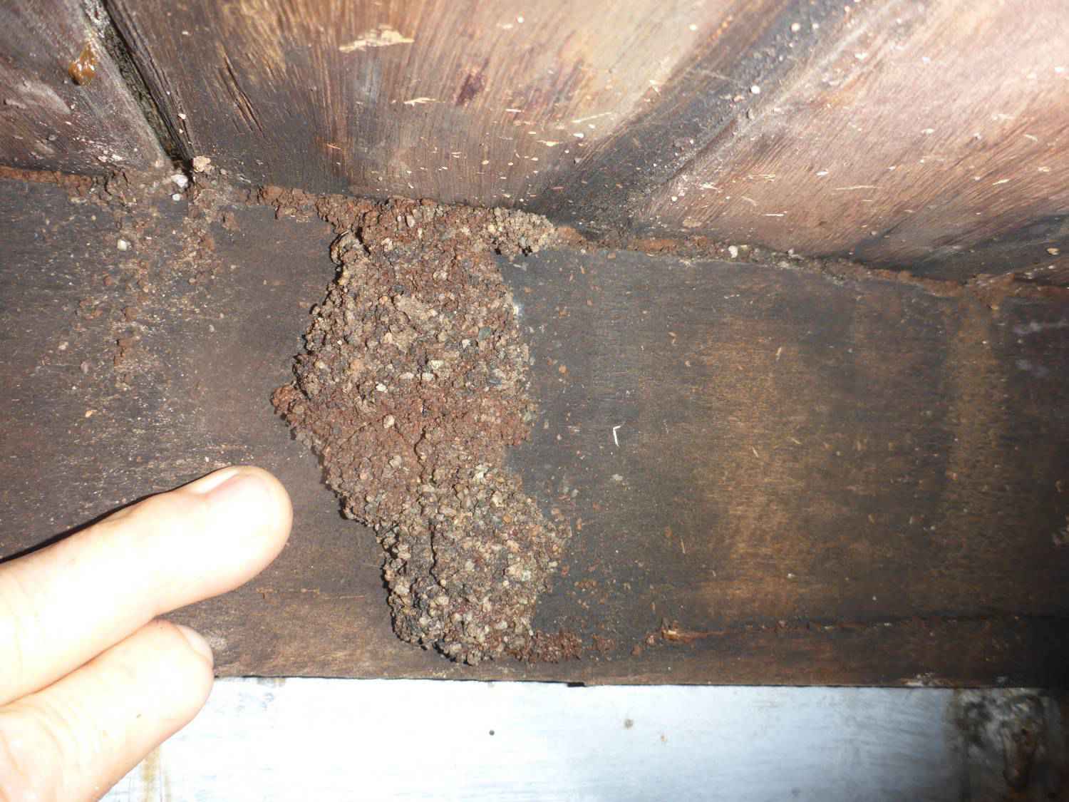 We know what we looking for