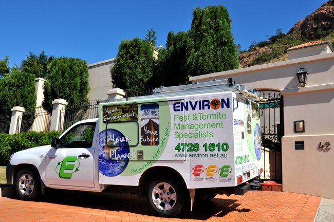 Townsville Pest and Termite Management