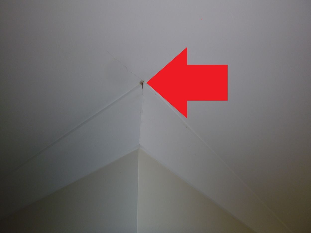 pest inspections in Townsville - eye for detail