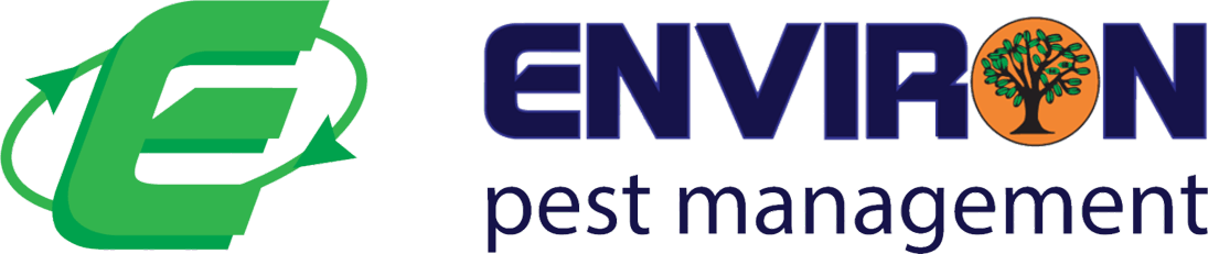 Townsville Pest and Termite Control Near Me