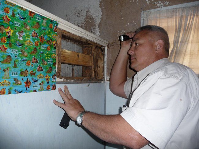 pest inspections in Townsville