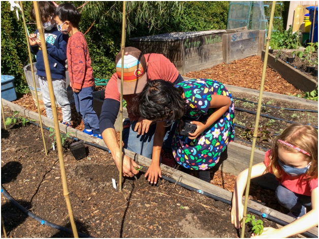 Primary students working on Casa di Mir’s lower campus garden