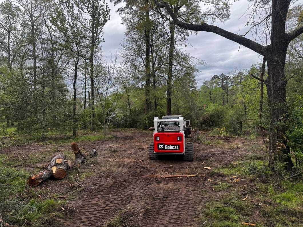 A bobcat is driving down a dirt road in the woods.