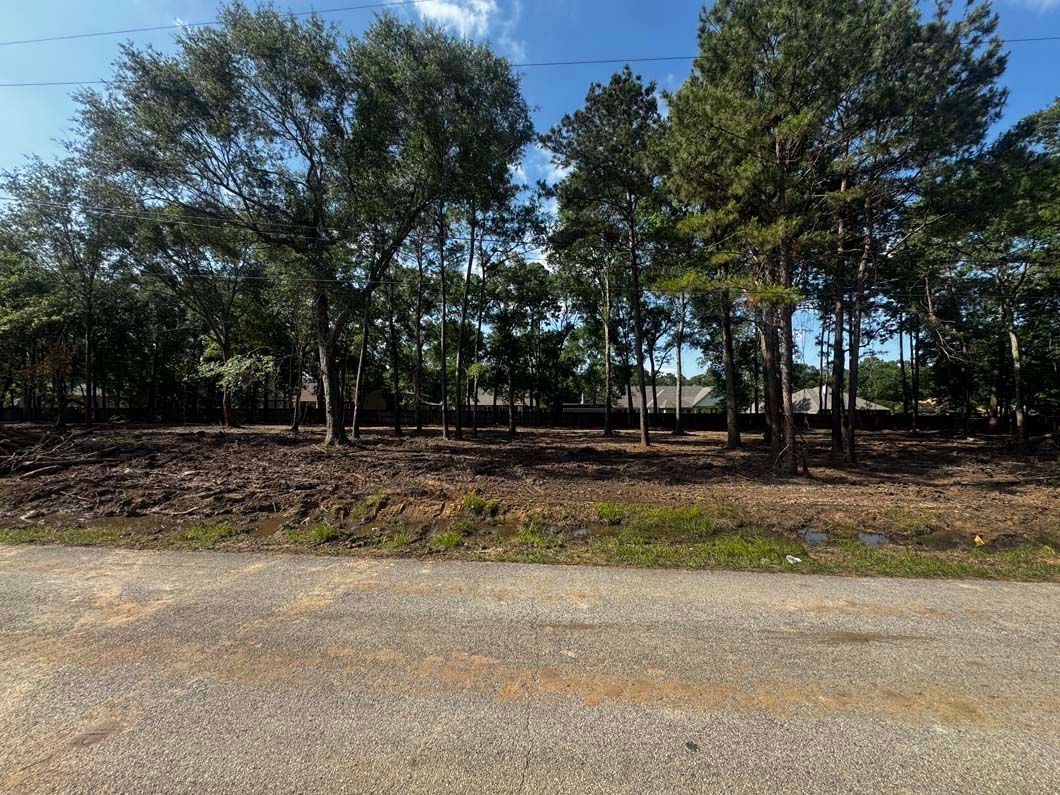 A dirt road with trees on the side of it
