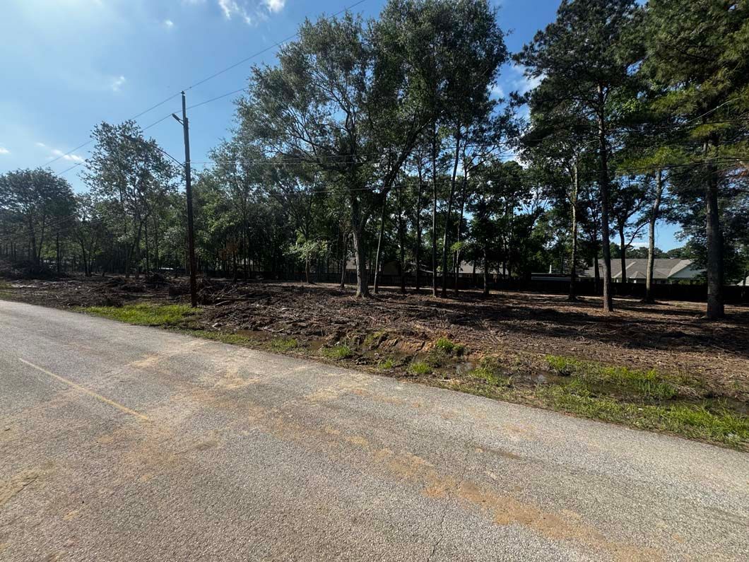 A dirt road going through a forest with trees on both sides.