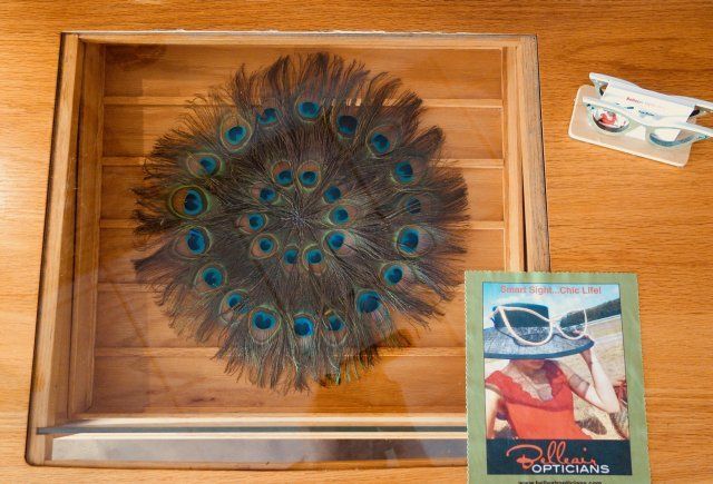 European Style Eyewear — Feather on Glass Display in Belleair Bluffs, FL