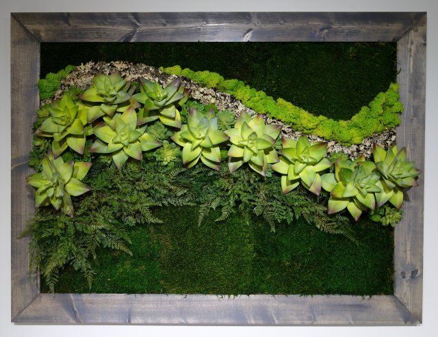 Eyewear Services — Plant Display in Belleair Bluffs, FL