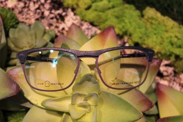 Optometrist — Eyeglasses on the Plant in Belleair Bluffs, FL