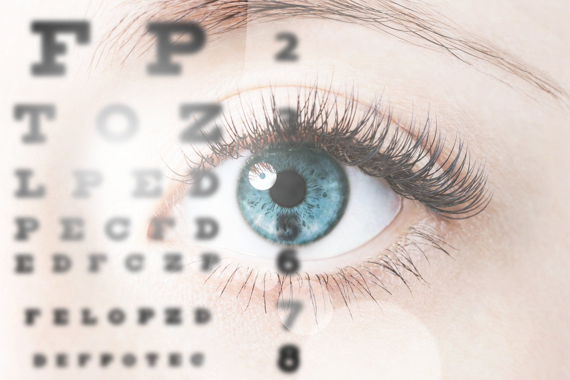 Eye Exam  — Focused Eye with Letters in Belleair Bluffs, FL