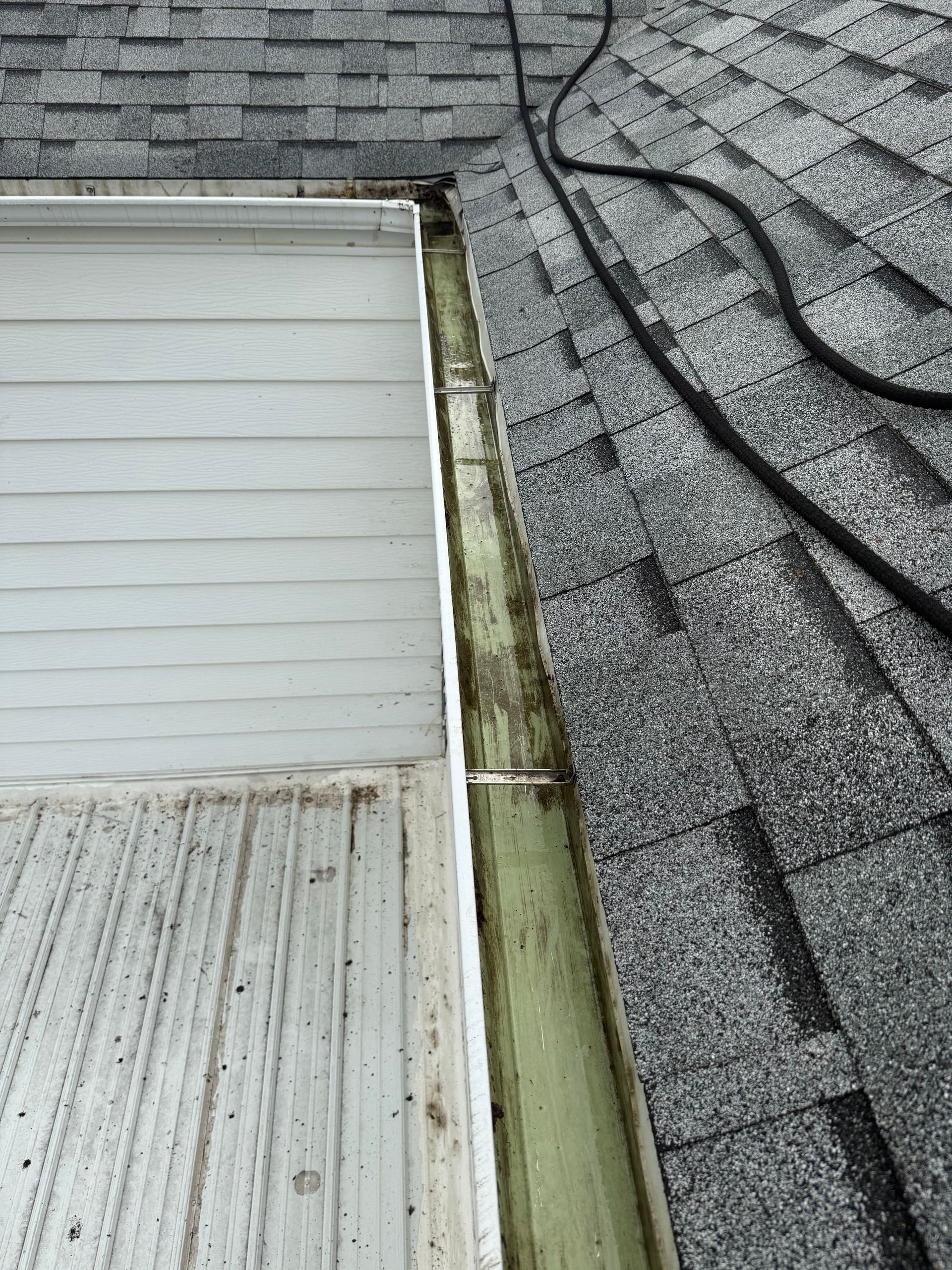 Gutter filled with debris next to a white siding wall. Roof shingles and a black cable are also visible.