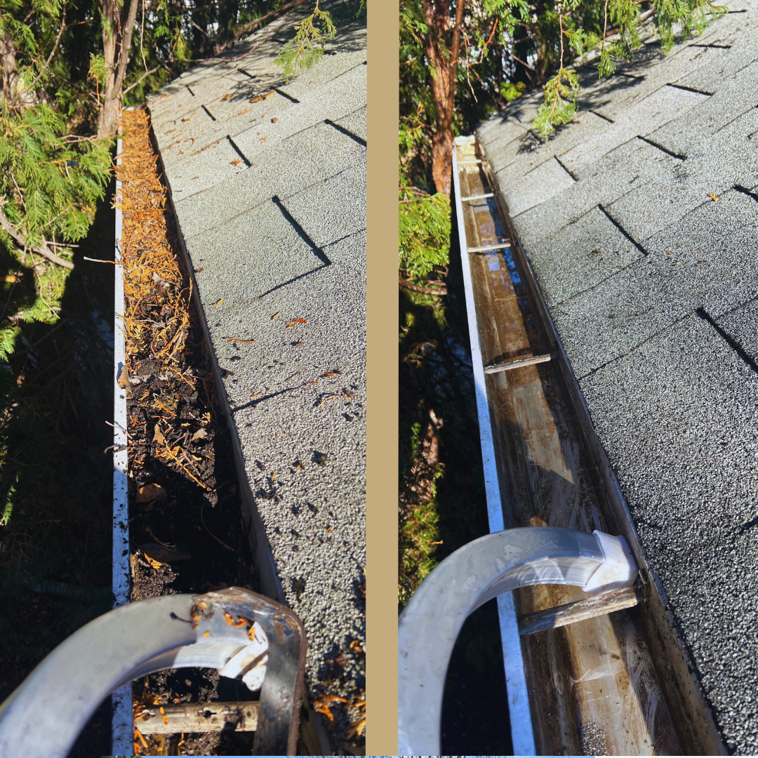 Before-and-after of a gutter cleaning. Gutter is filled with leaves and debris on the left and clean on the right.