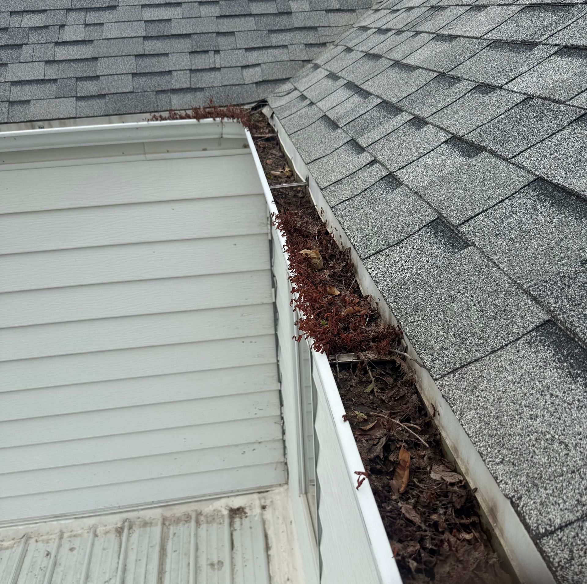 Gutters filled with leaves on a house with gray shingles and white siding.