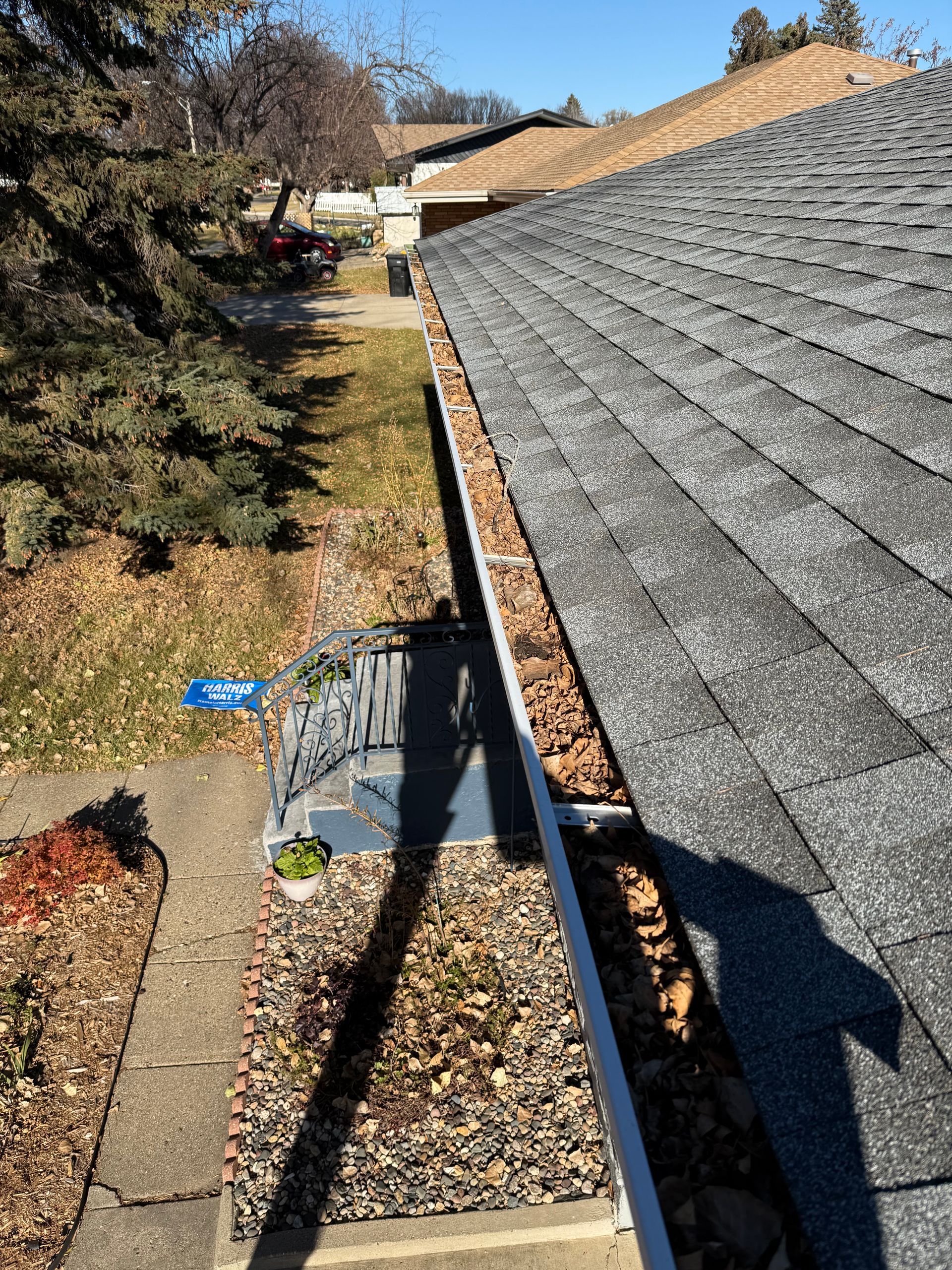 Roof gutter filled with leaves; house exterior on a sunny day.