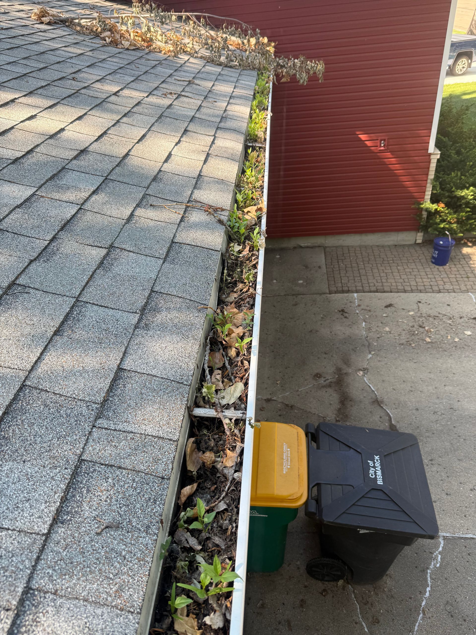 Rooftop with debris-filled gutter next to a red brick wall. Green and black trash bins sit below.
