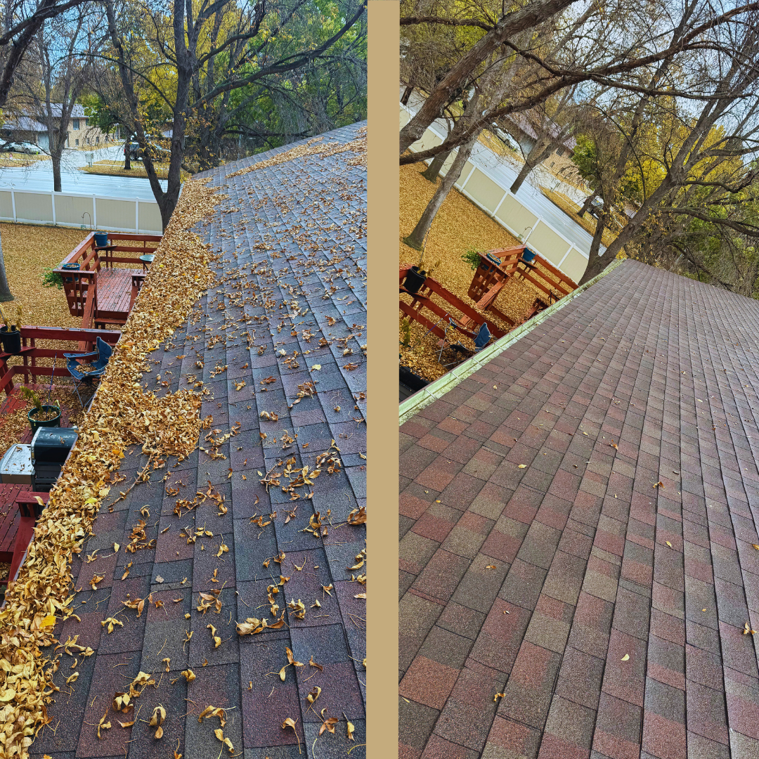 Roof before and after cleaning: leaves on shingles on left, clean roof on right; outside setting.