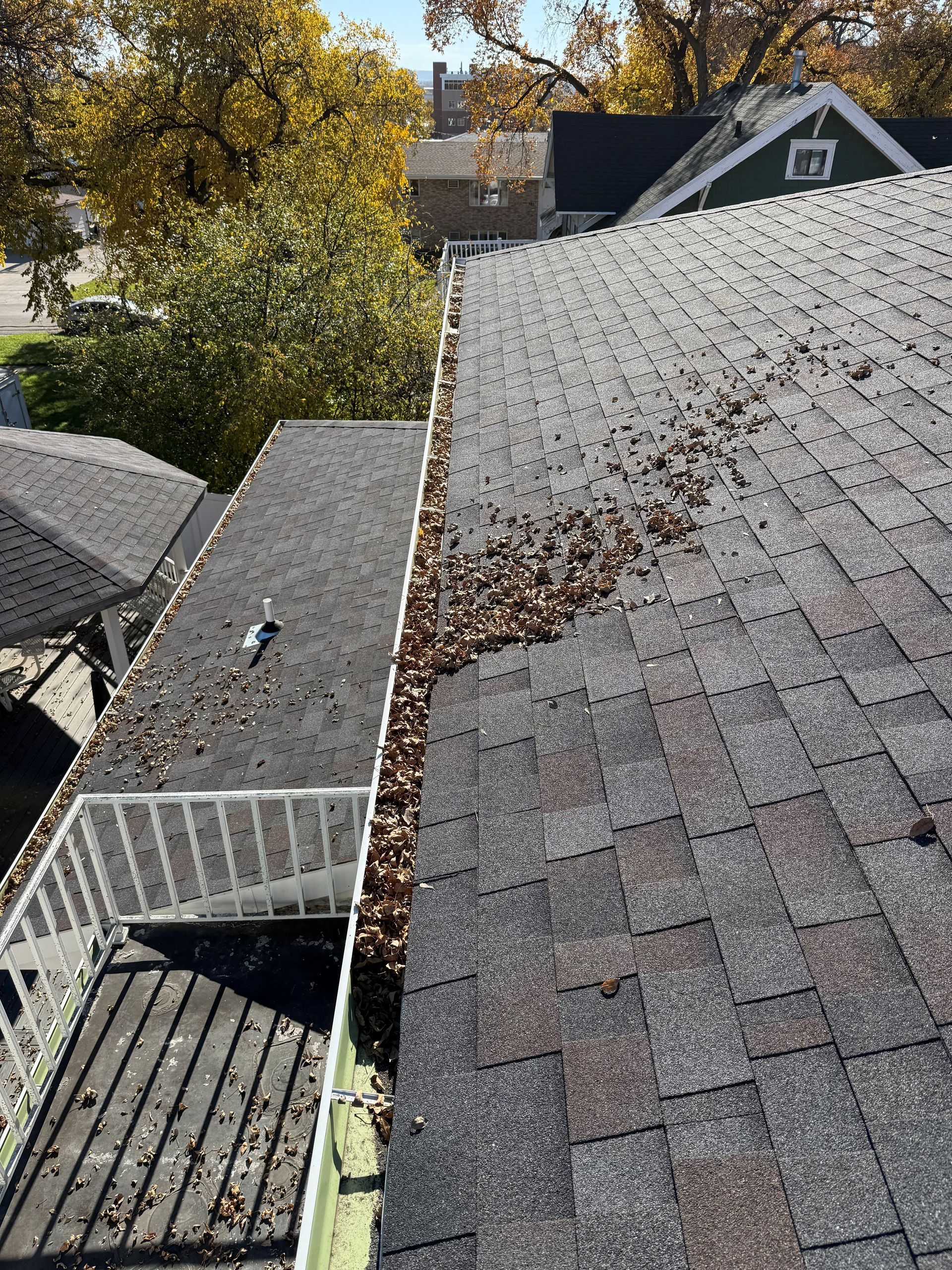 Rooftop covered in leaves, with a gutter full of debris. Overcast day.