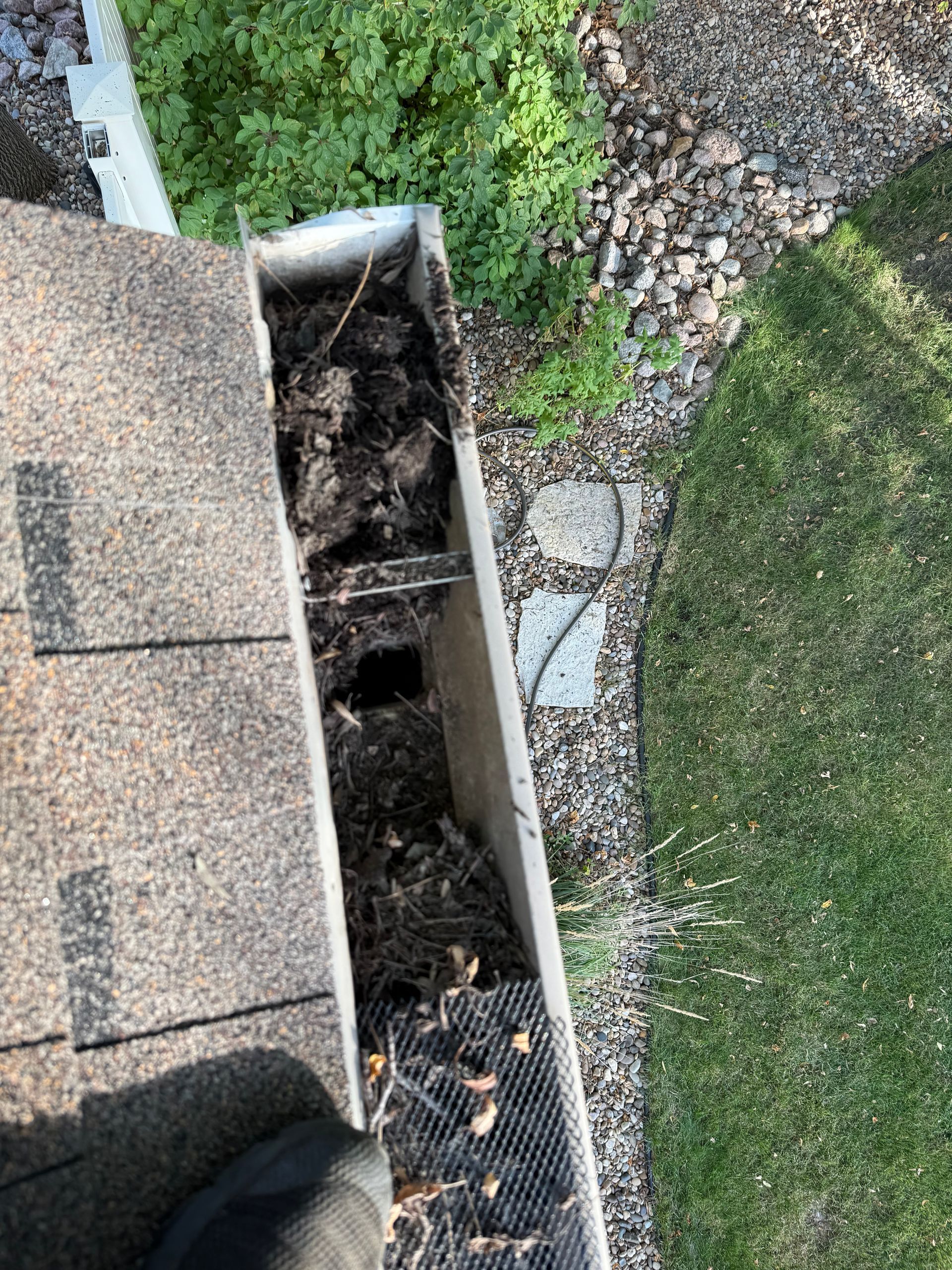 Gutter filled with debris, with a roof and green grass in view.