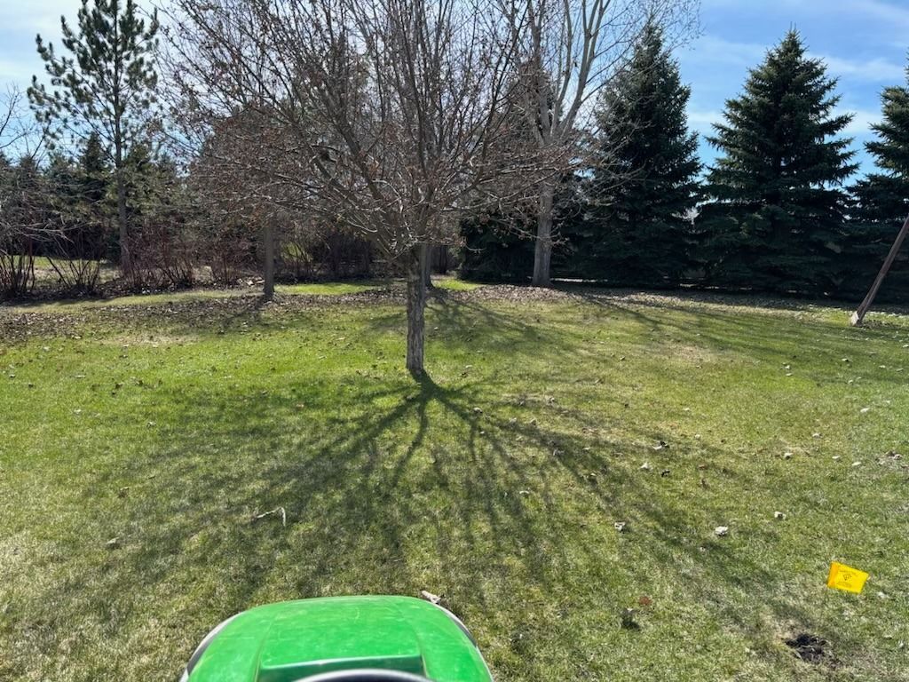 A lawnmower on a green lawn with a bare tree casting a shadow, with trees and a blue sky in the background.