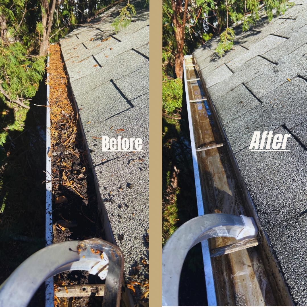 Comparison of a dirty gutter (before) and a clean gutter (after); rooftop view.