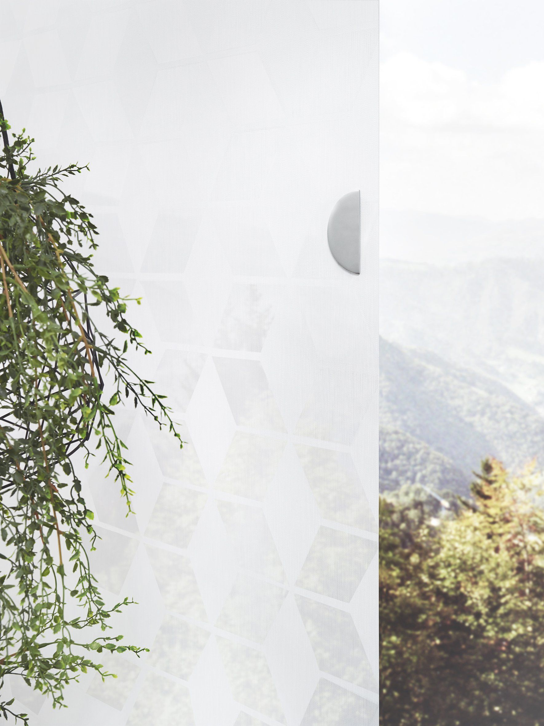 Pflanzen  vor weißen Flächenvorhängen