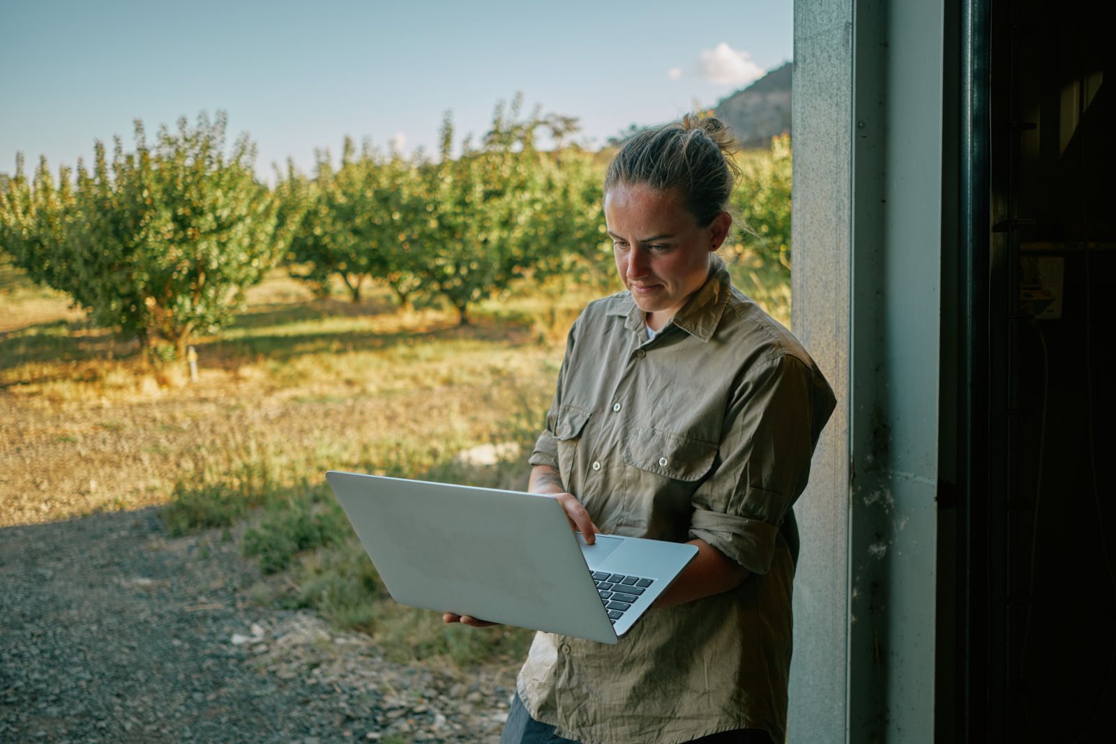 Person using a laptop at a doorway, with an orchard and sunny field in the background