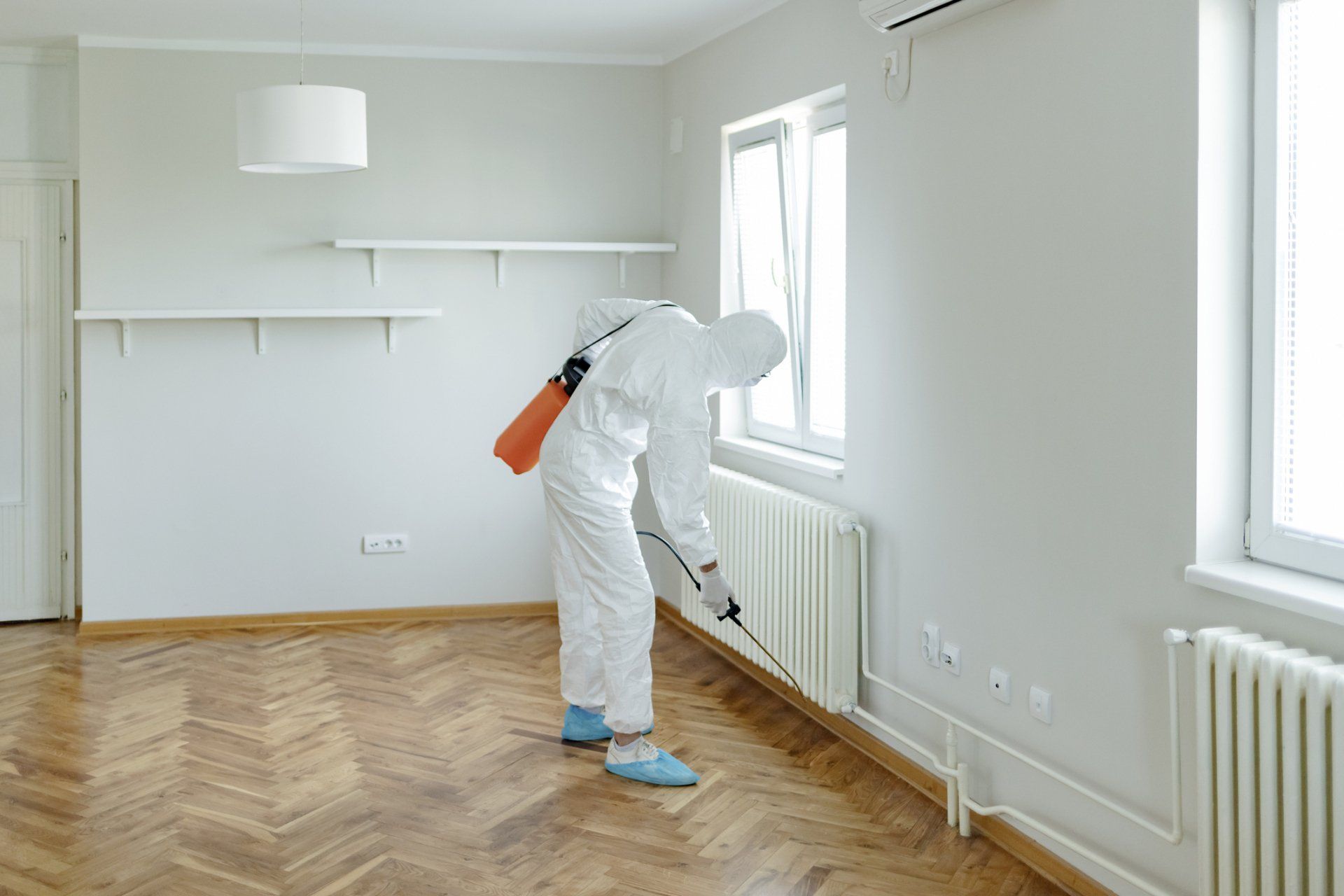 Termite Inspection — Columbus, IN — YES Pest Pros