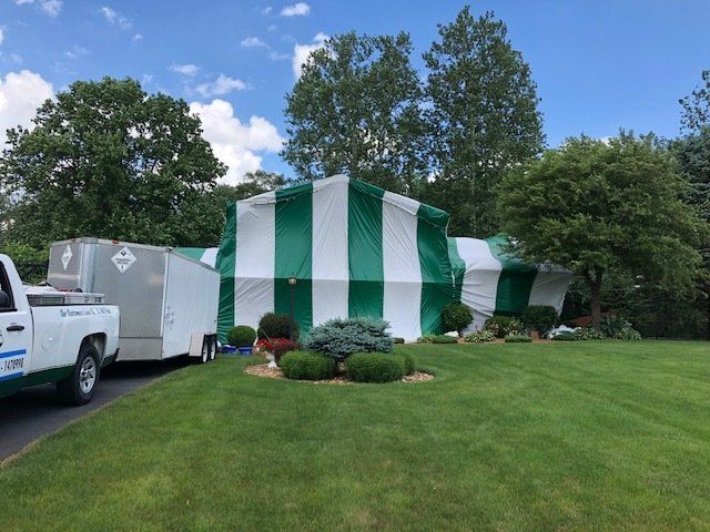 Bed Bugs in Mattress — Columbus, IN — YES Pest Pros