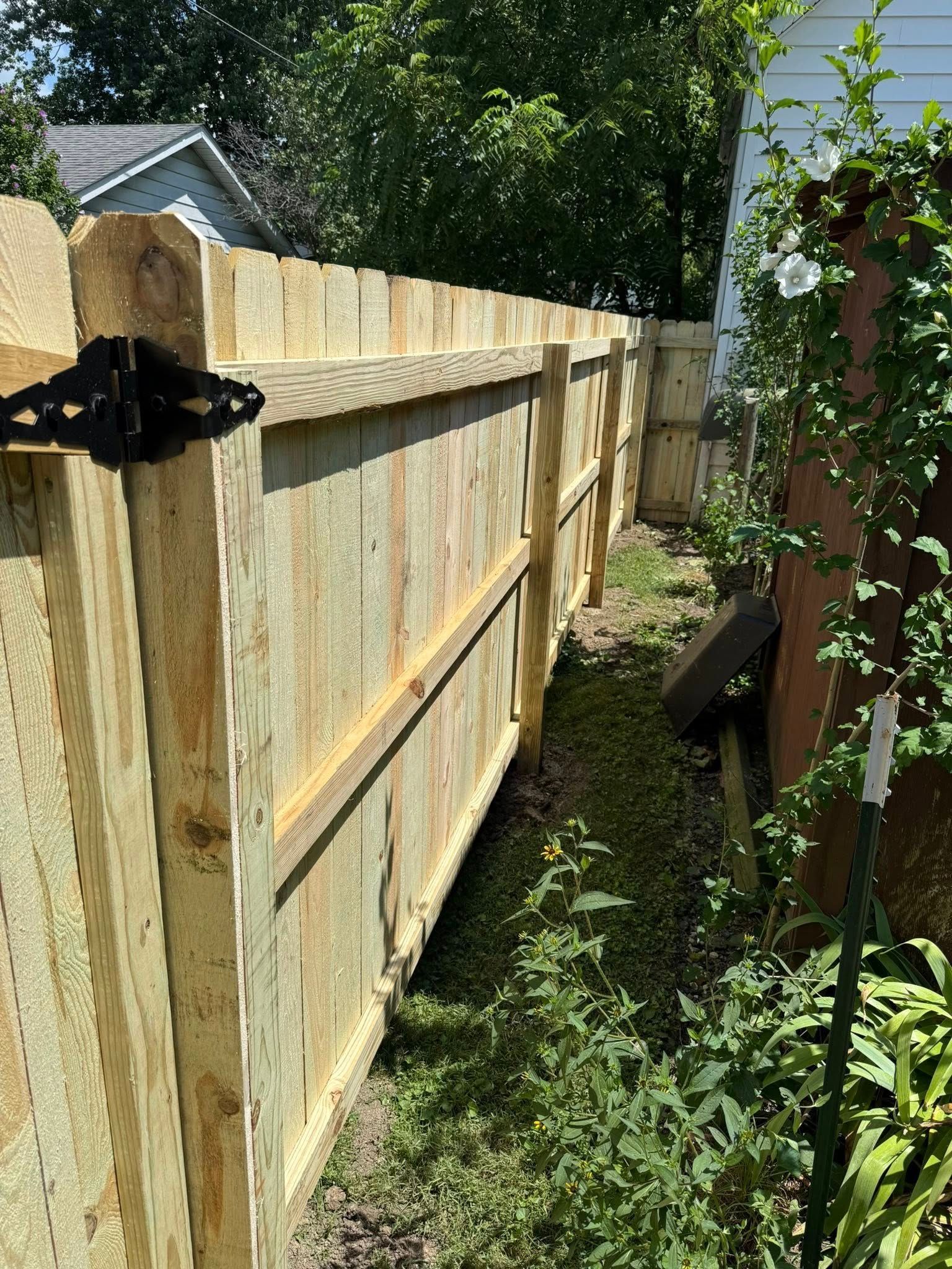 Wooden fence in a yard, tall and new. Green grass and vegetation grow along the fence.
