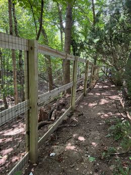 Wooden fence bordering a dirt path in a wooded area.