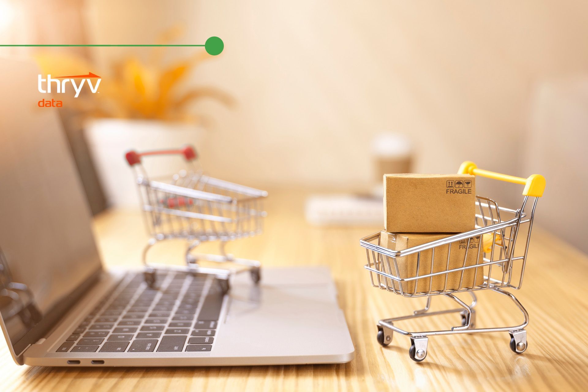Online shopping and the cost of dirty data