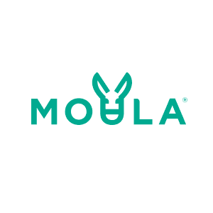Moula money case study