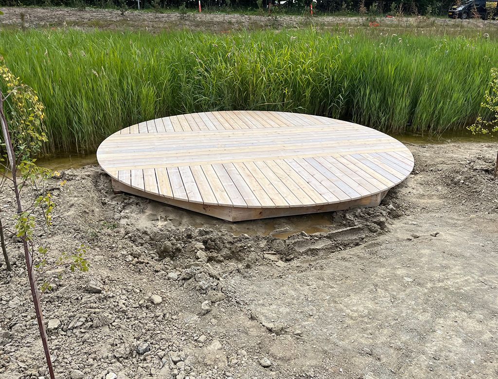 Rund træplatform i mudret jord med høje grønne planter i baggrunden.