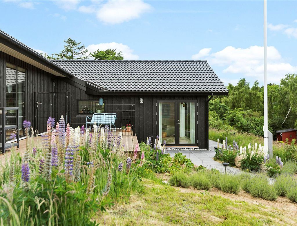 Sort hus med mørkt tegltag, omgivet af blomstrende lupiner og andet grønt.