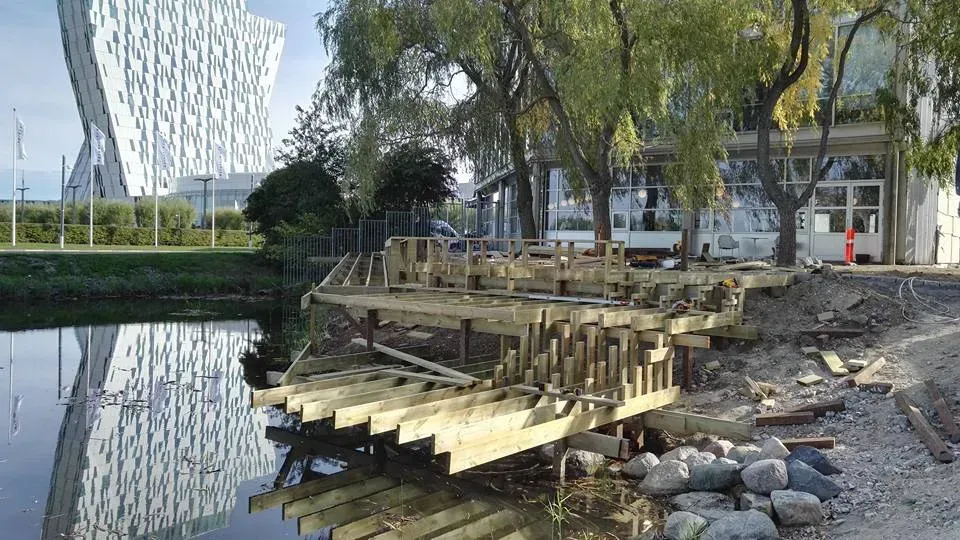 Trædok under opførelse ved siden af ​​et vandløb med en moderne bygning i baggrunden.