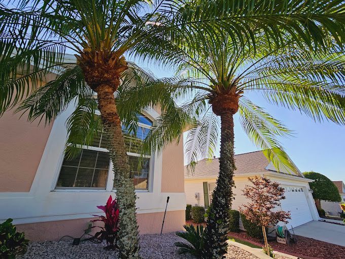 Two palm trees are in front of a house