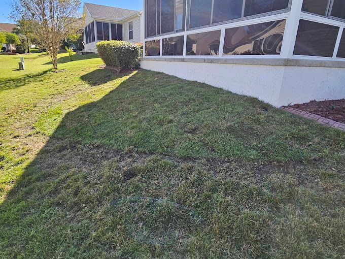A grassy yard next to a white house with a screened porch. Green grass and sunlight.