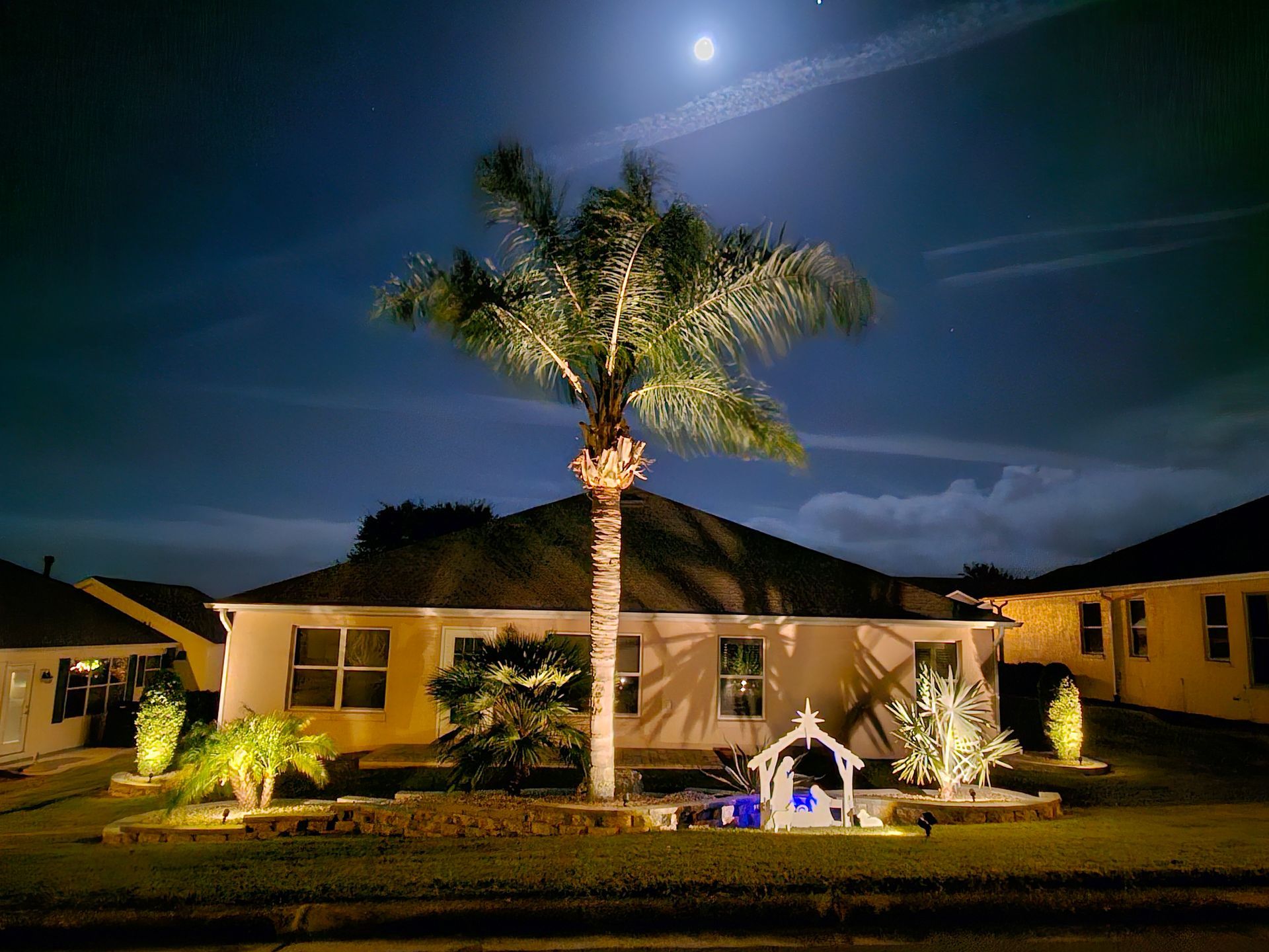 Nighttime view of a house with landscape lighting illuminating a palm tree, under a moonlit sky.