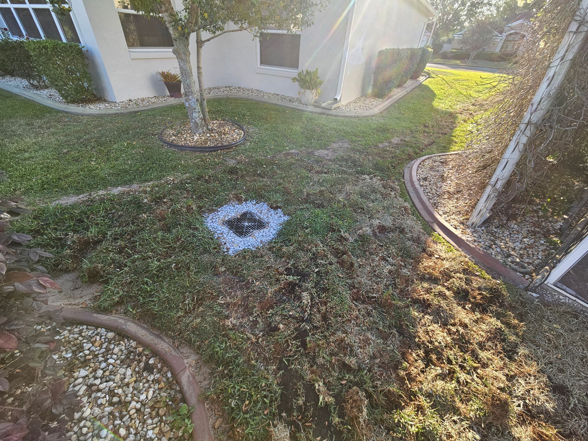 Grassy yard with white chalk circle marking a spot, house in background.