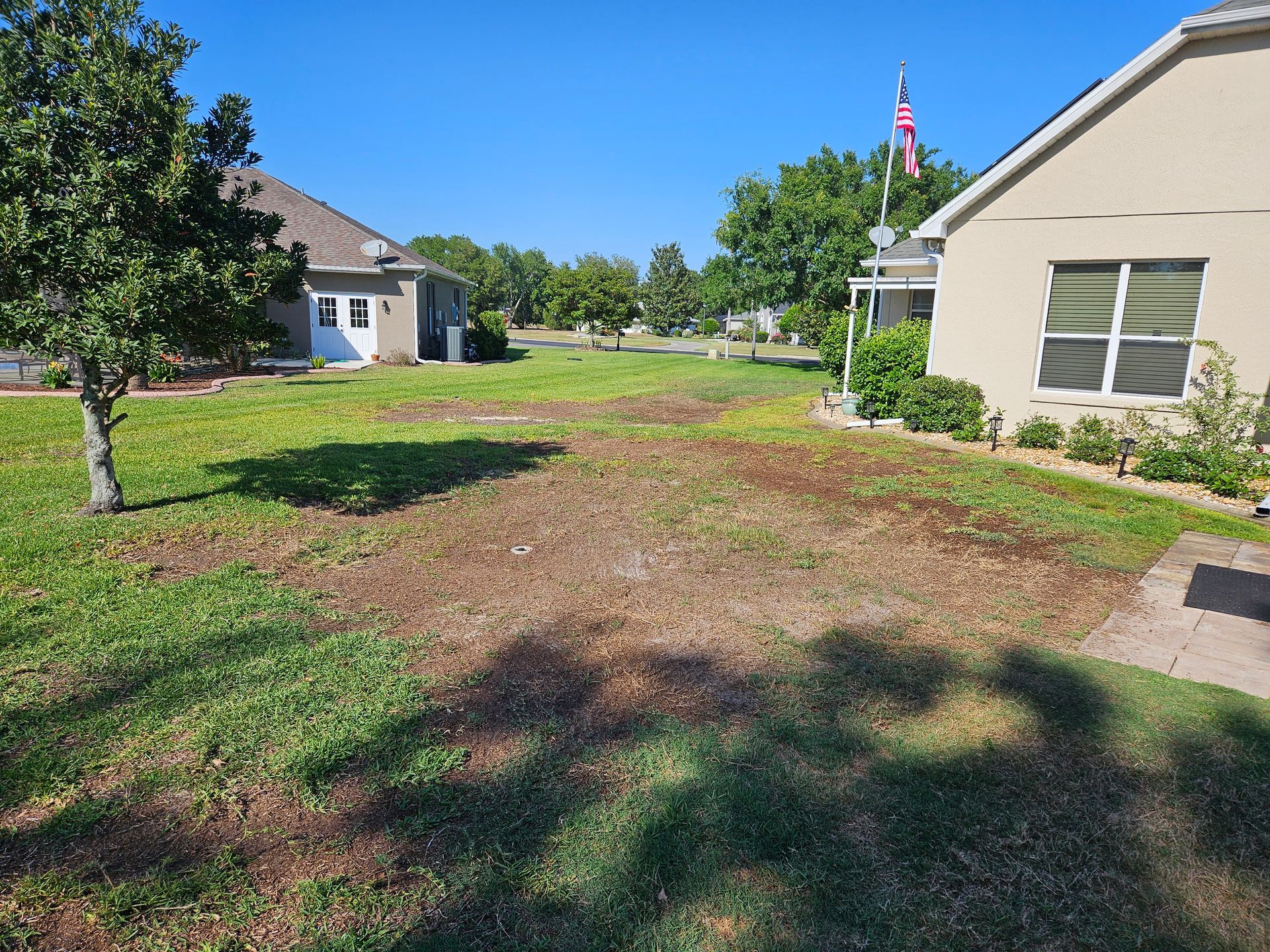 Lawn with brown patches, two houses, a tree, and a flagpole under a blue sky.
