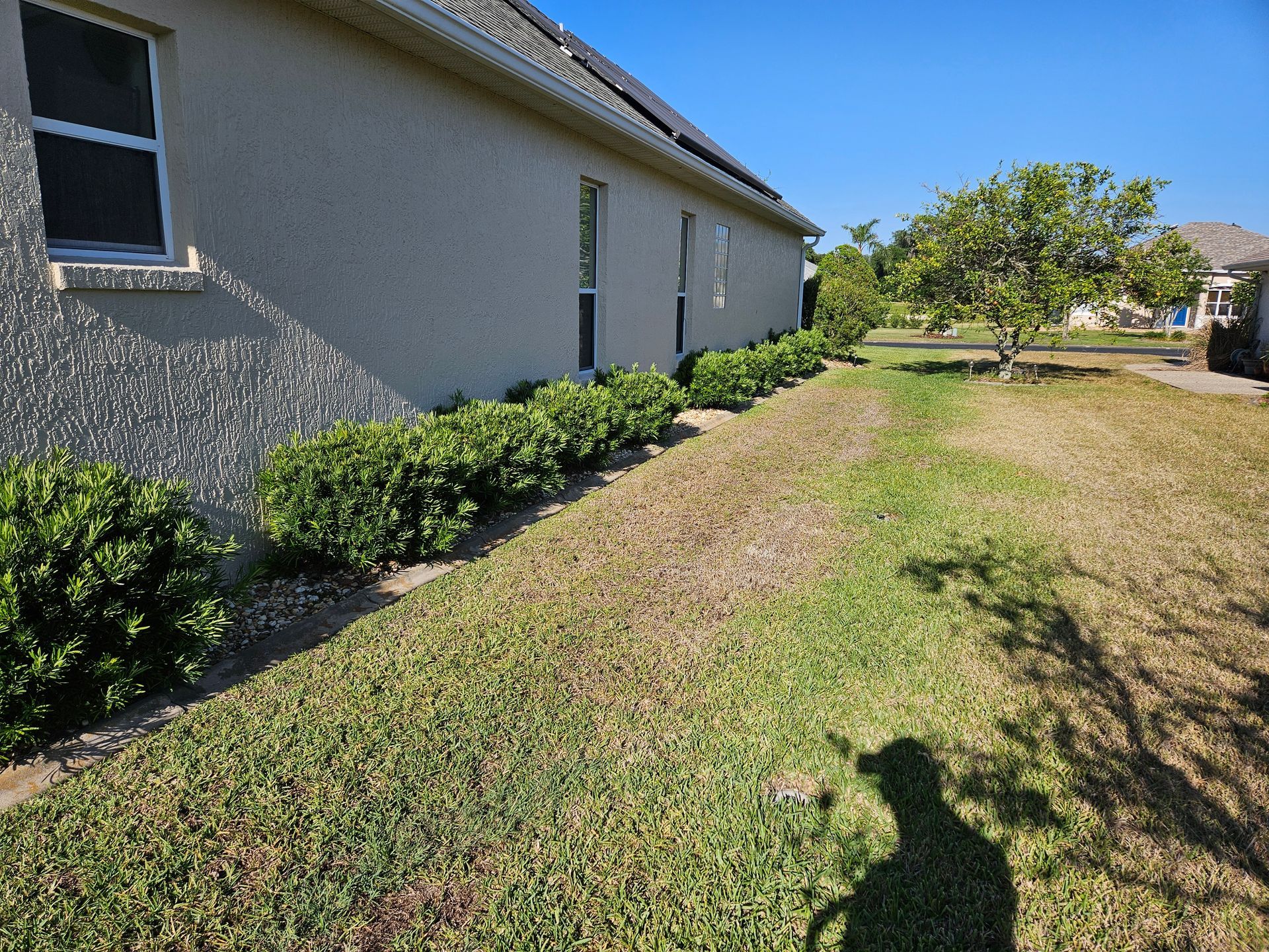 A sunny view of a house with trimmed bushes along the side; shadow of person in foreground.
