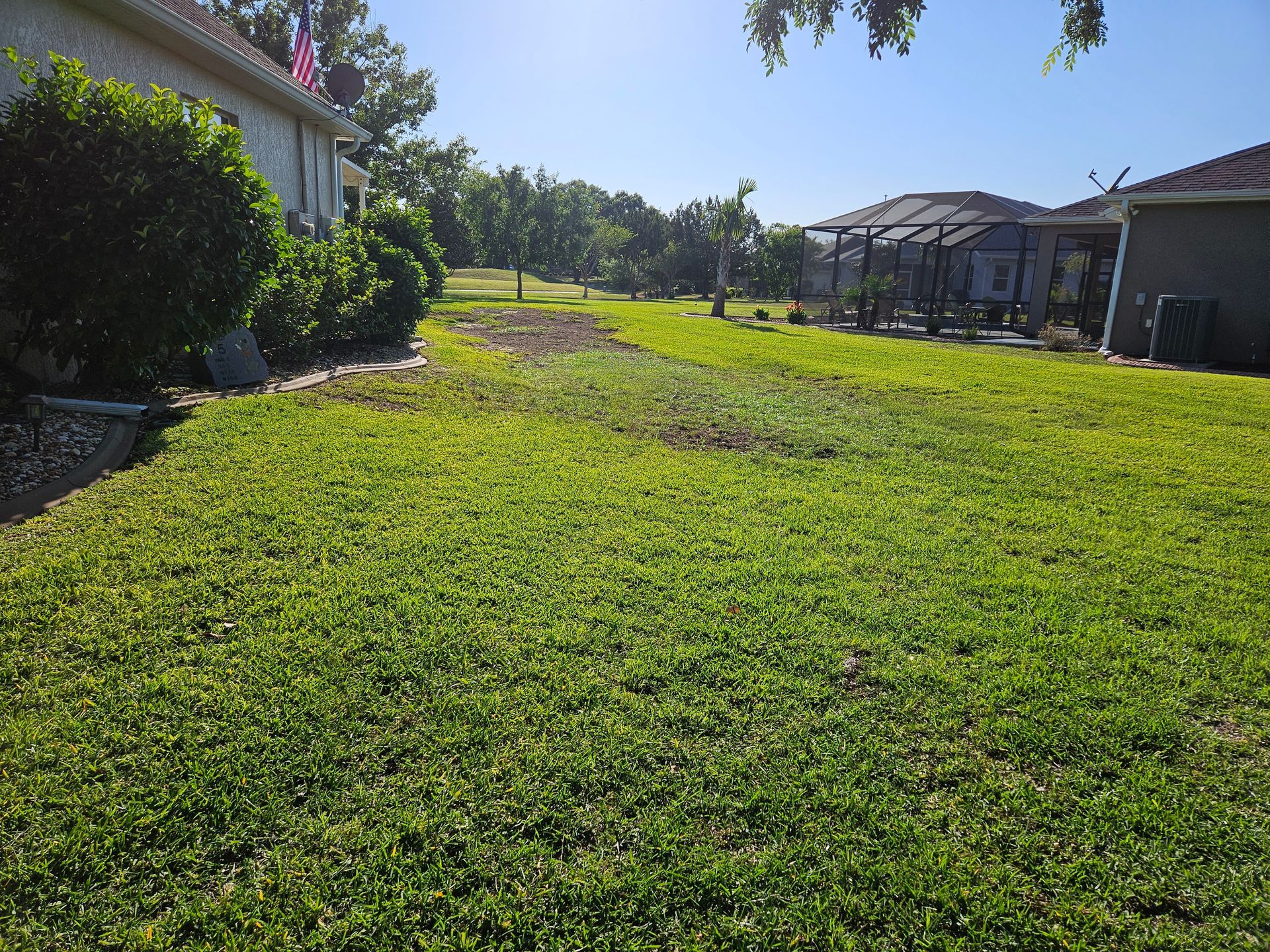 Lawn with green grass, partial view of houses, sunny day.