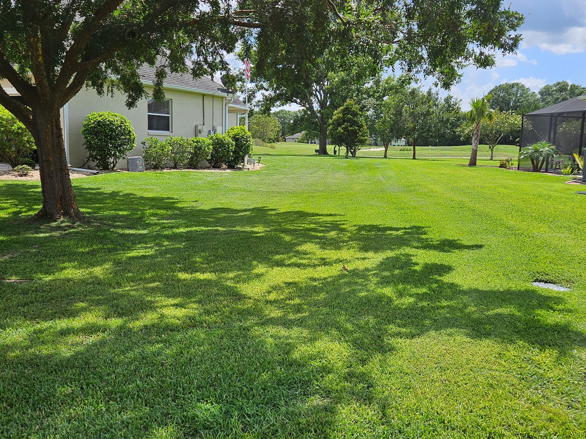 Green grassy backyard with trees casting shadows, a house in the background on a sunny day.