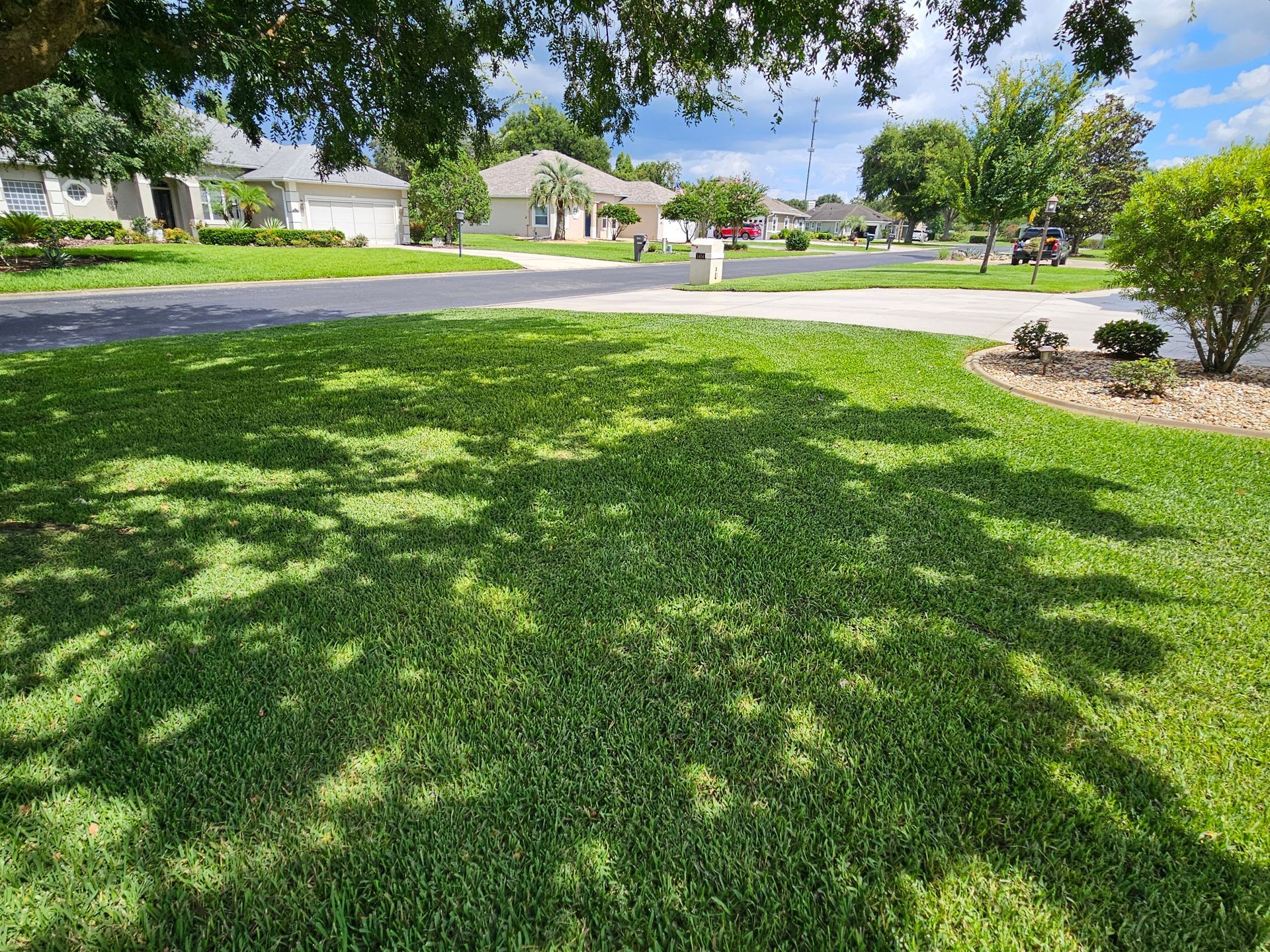 Lush green lawn shaded by a tree; suburban street with houses in the background under a partly cloudy sky.