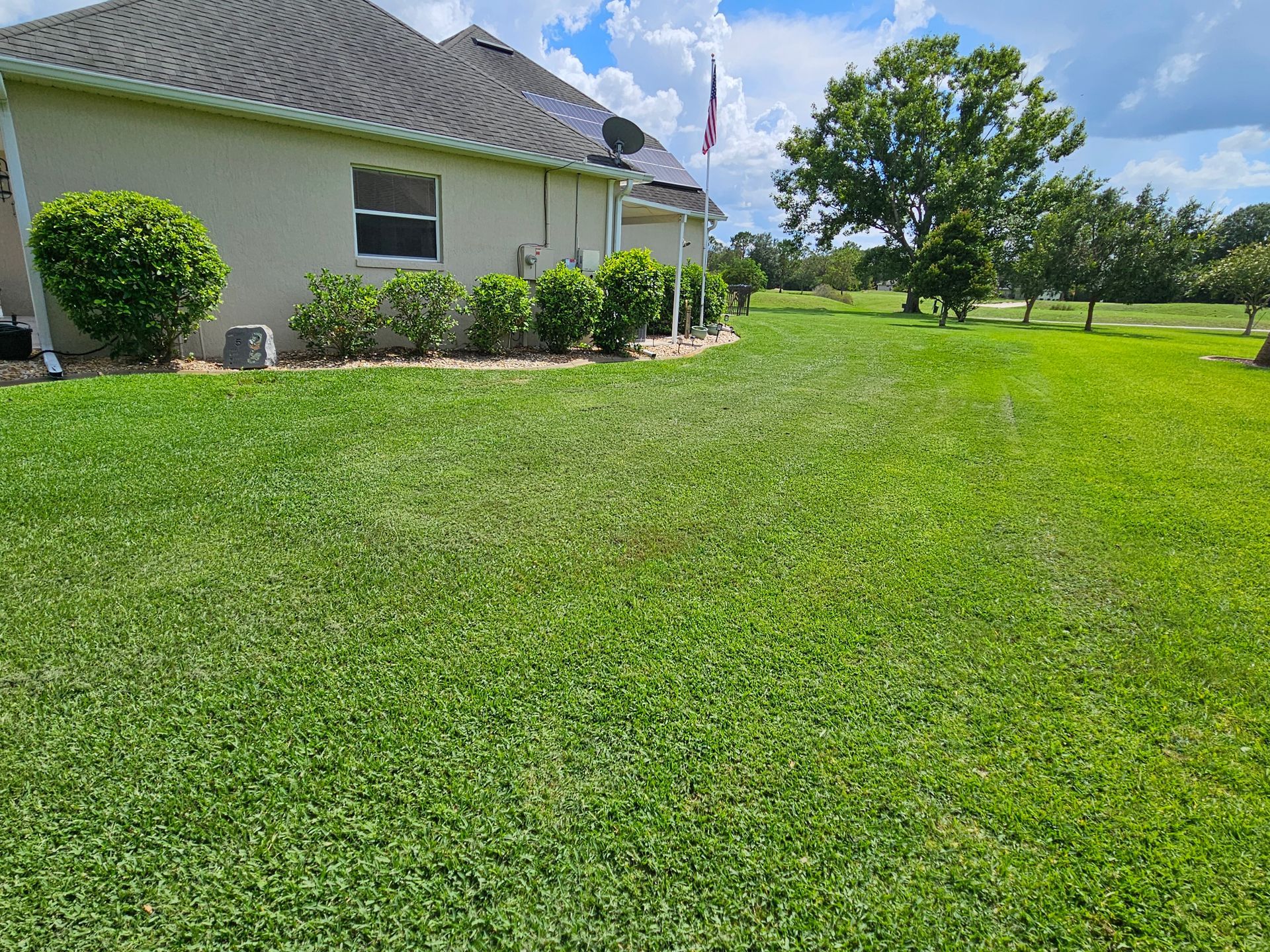 Lawn in front of a house on a sunny day, with manicured hedges and a flag in the distance.