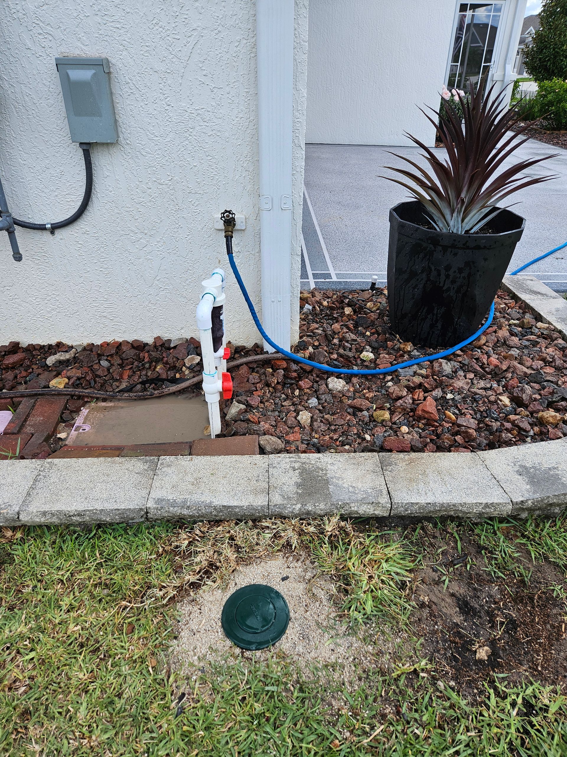 A green lawn with a brown mulch bed, water spigot, and a plant in a black pot.