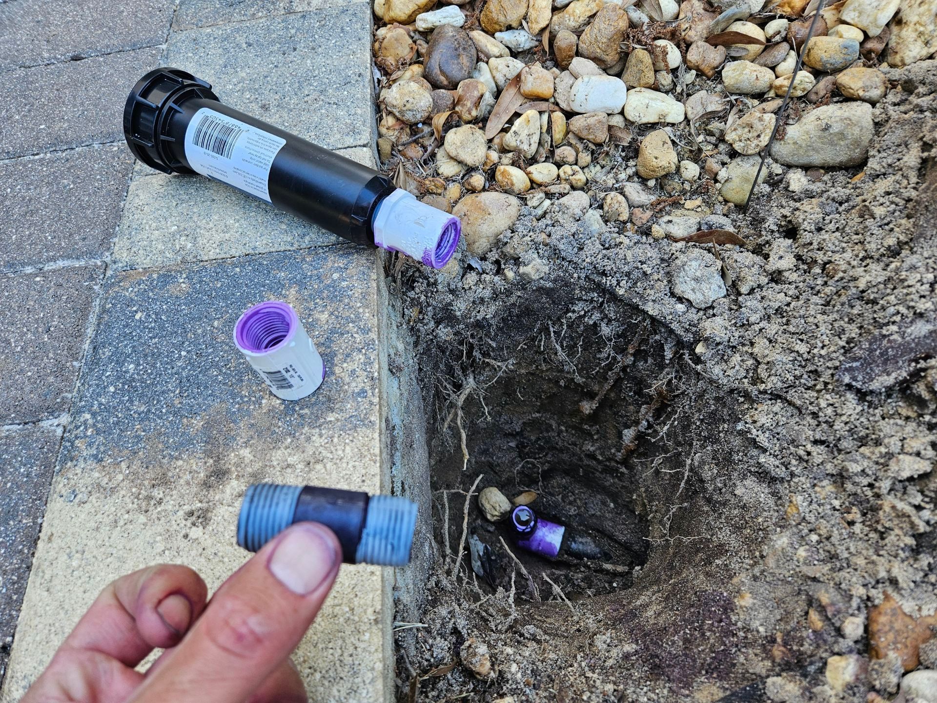 Sprinkler system repair: A person is replacing a sprinkler head near a walkway.
